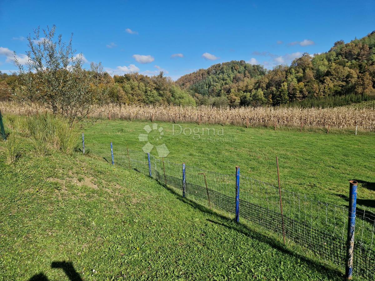 Zemljišče Gornje Jesenje, Jesenje, 7.952m2