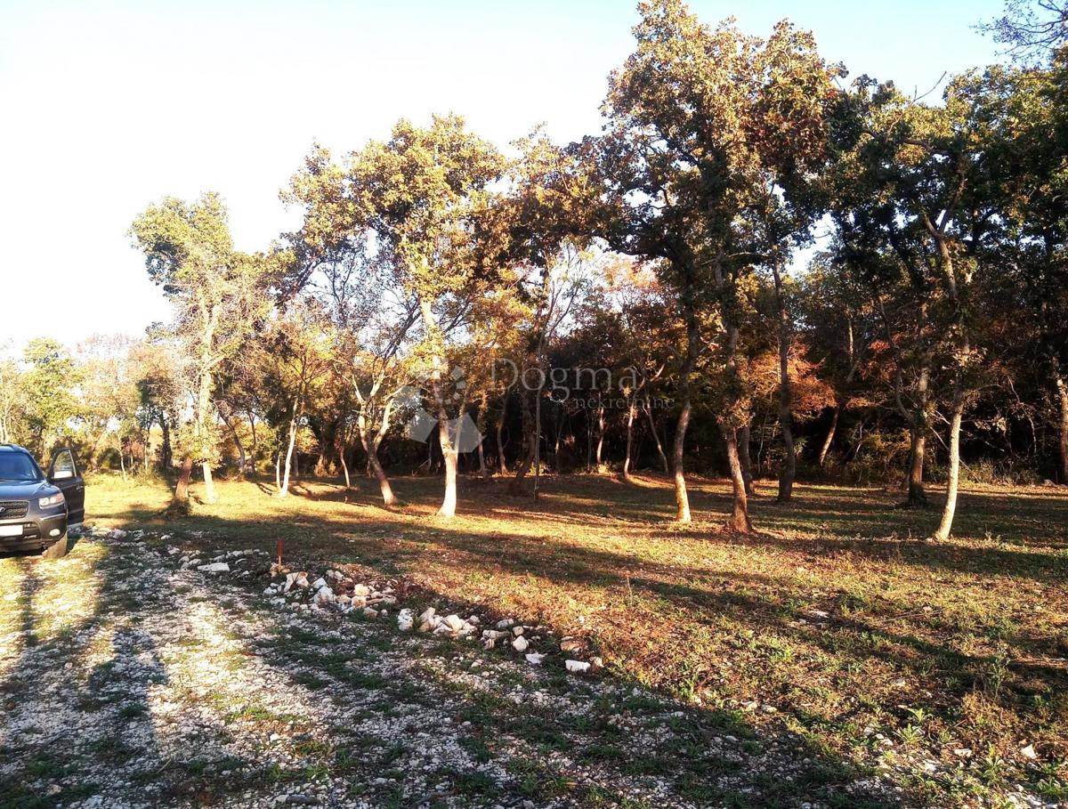 Zemljišče Vodnjan, 1.005m2