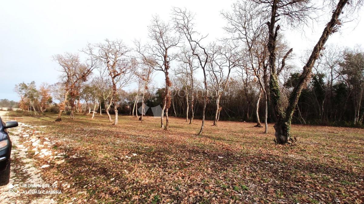 Zemljišče Vodnjan, 1.005m2