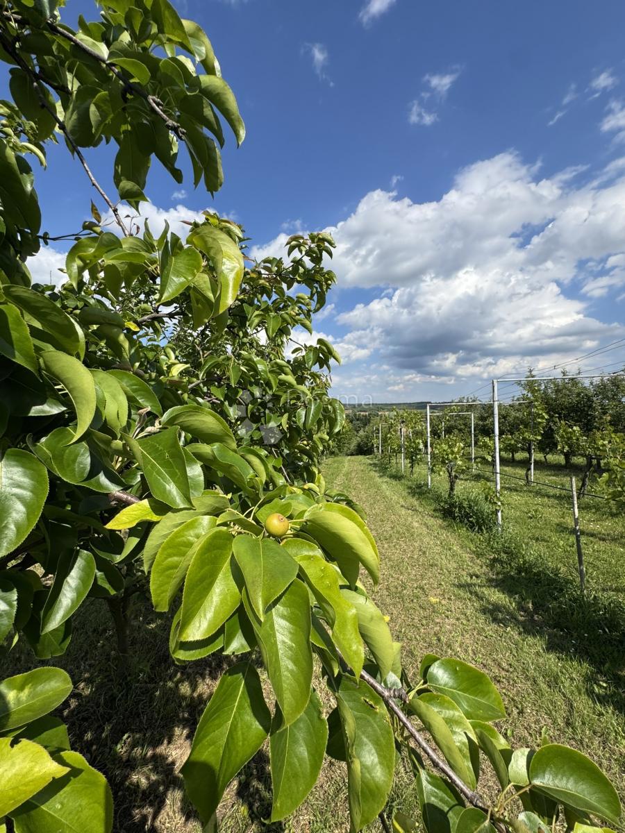Hiša Kapela, 86m2