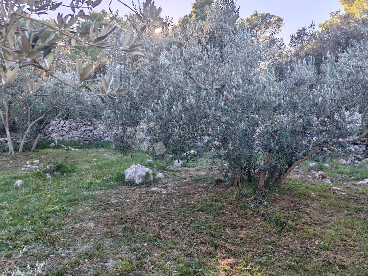 Zemljišče Zablaće, Šibenik - Okolica, 1.545m2