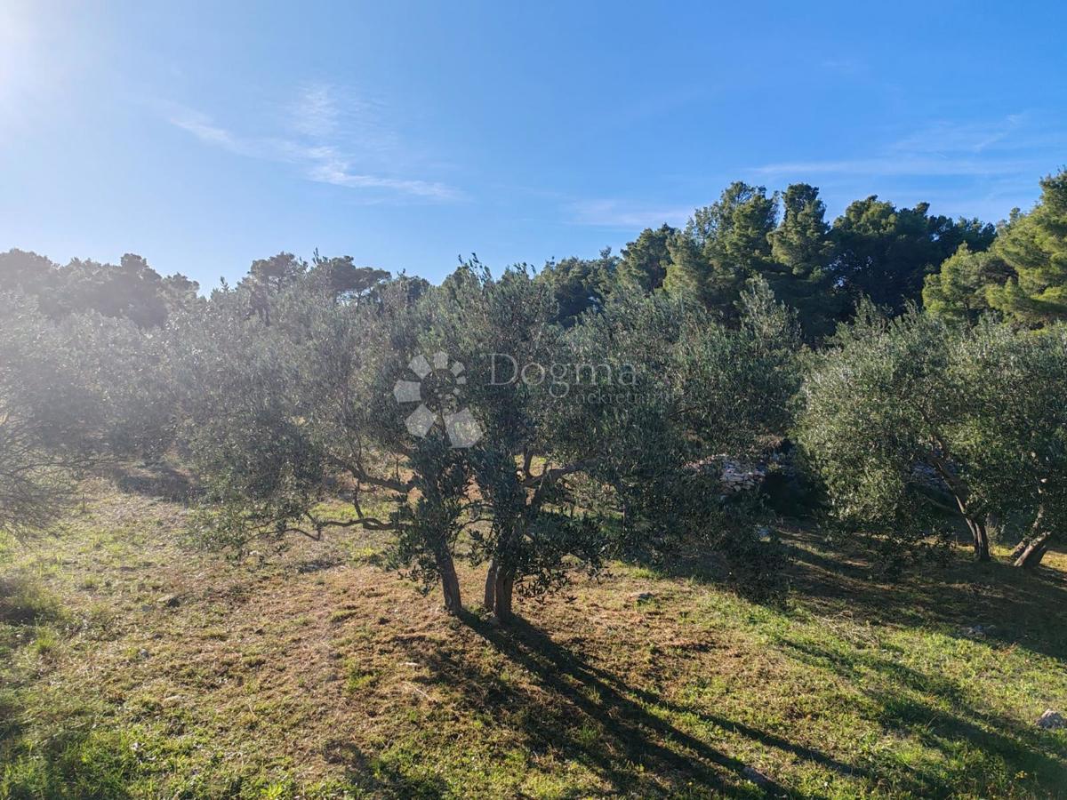 Zemljišče Zablaće, Šibenik - Okolica, 1.545m2