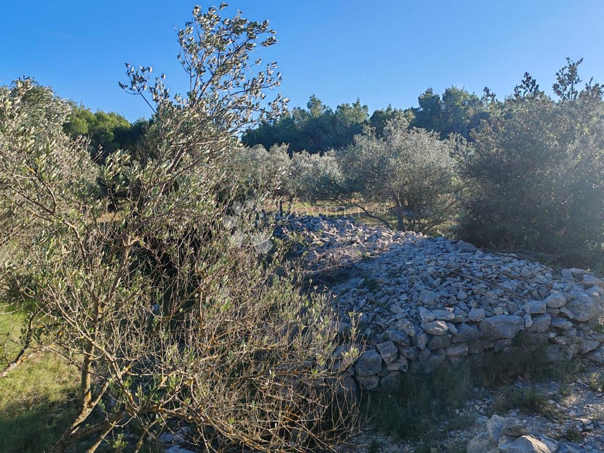 Zemljišče Zablaće, Šibenik - Okolica, 1.545m2
