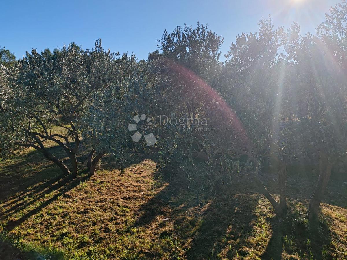 Zemljišče Zablaće, Šibenik - Okolica, 1.545m2