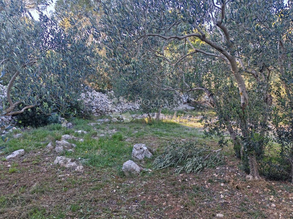 Zemljišče Zablaće, Šibenik - Okolica, 1.545m2