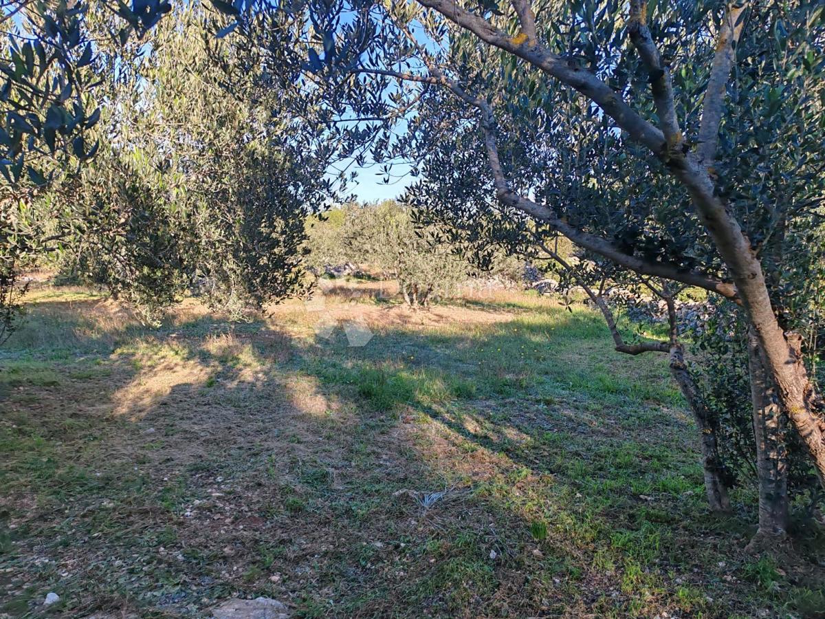 Zemljišče Zablaće, Šibenik - Okolica, 1.545m2