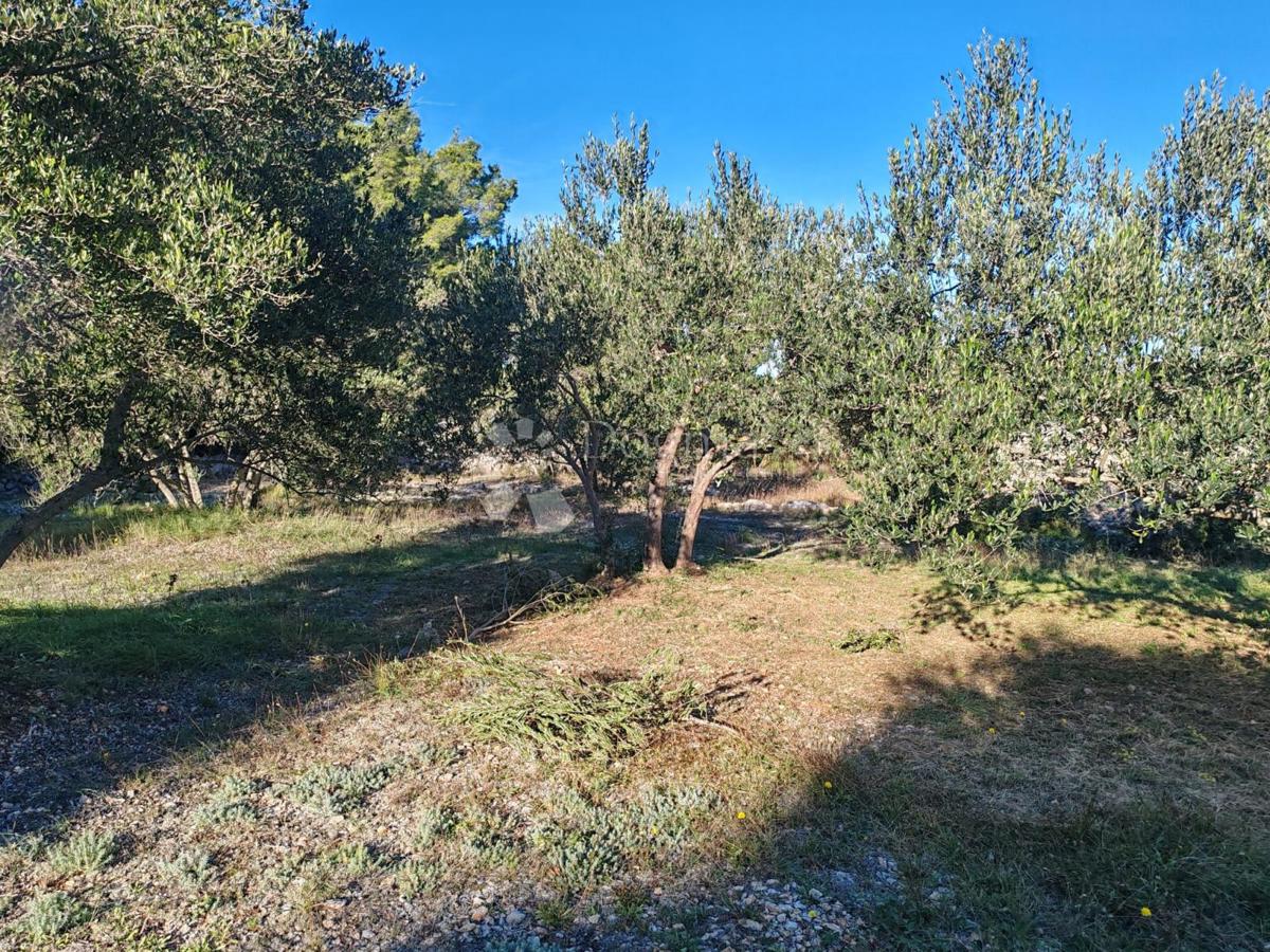 Zemljišče Zablaće, Šibenik - Okolica, 1.545m2