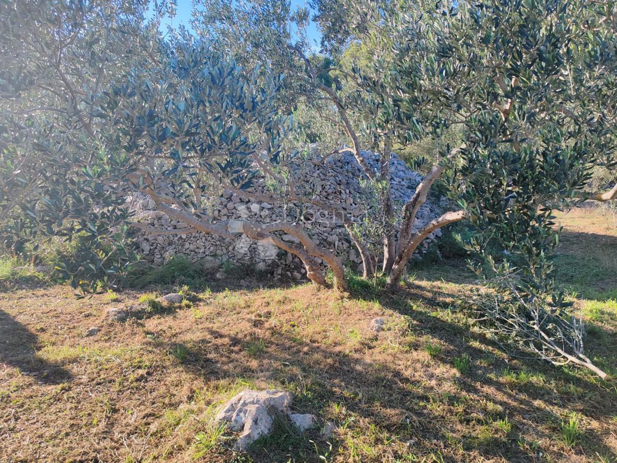 Zemljišče Zablaće, Šibenik - Okolica, 1.545m2