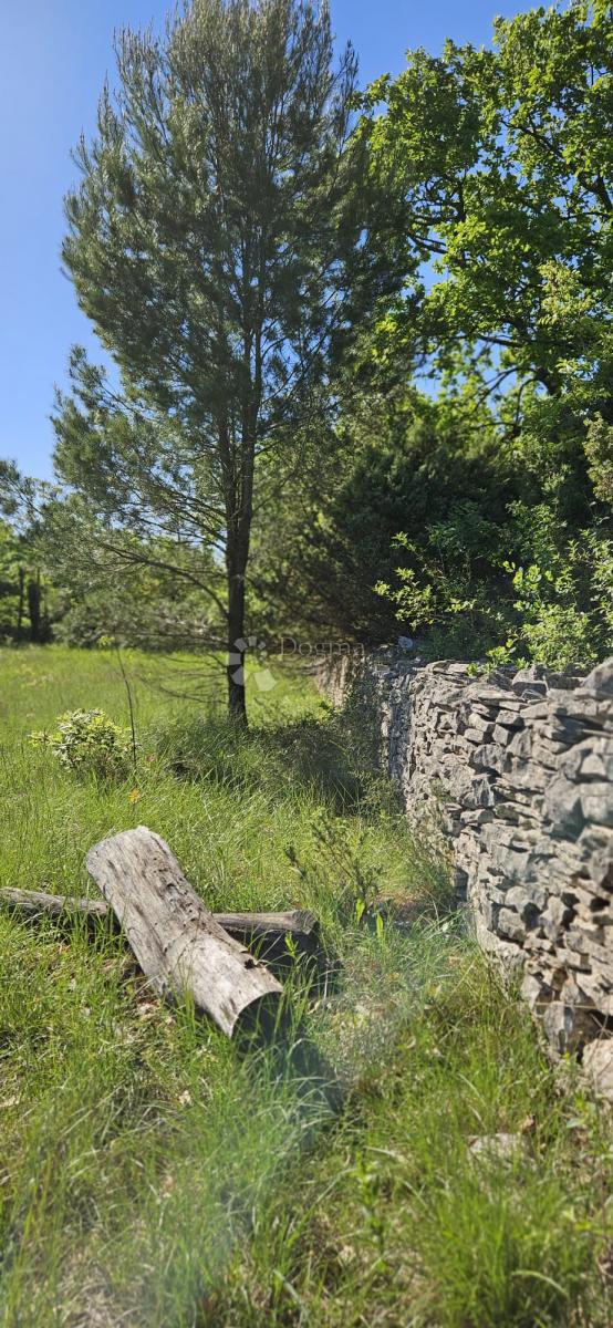Kmetijsko zemljišče Svetvinčenat, 1.314m2