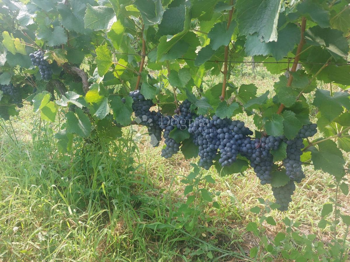 Hiša Đurđevac, 61m2