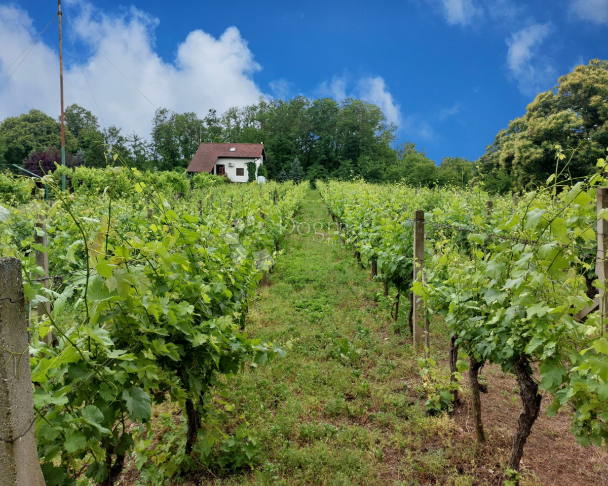 Hiša Đurđevac, 61m2