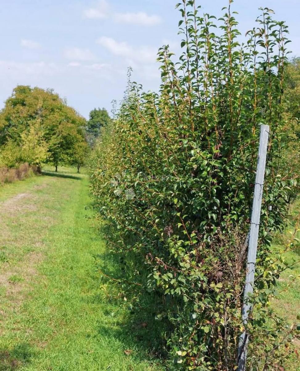 Hiša Đurđevac, 61m2