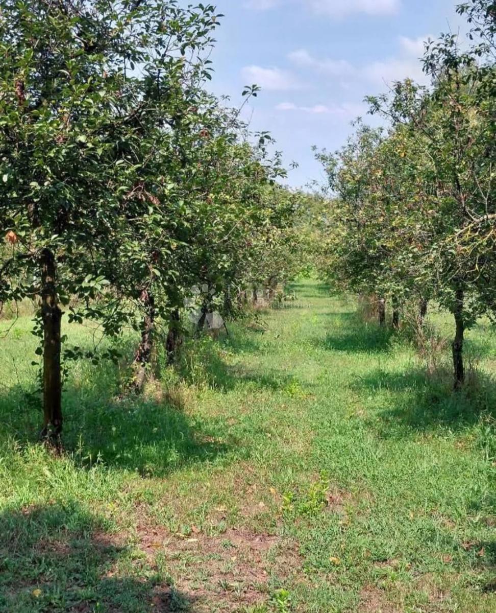 Hiša Đurđevac, 61m2