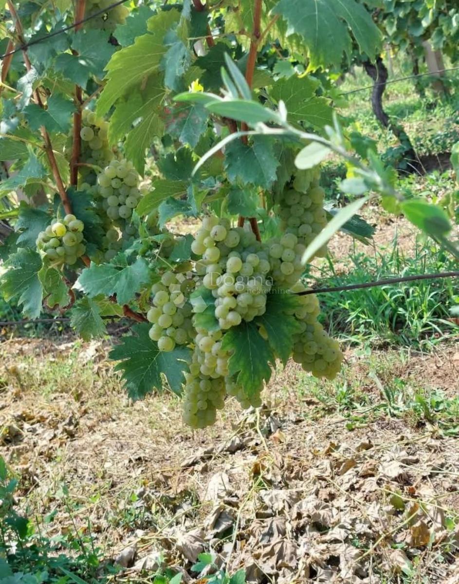 Hiša Đurđevac, 61m2