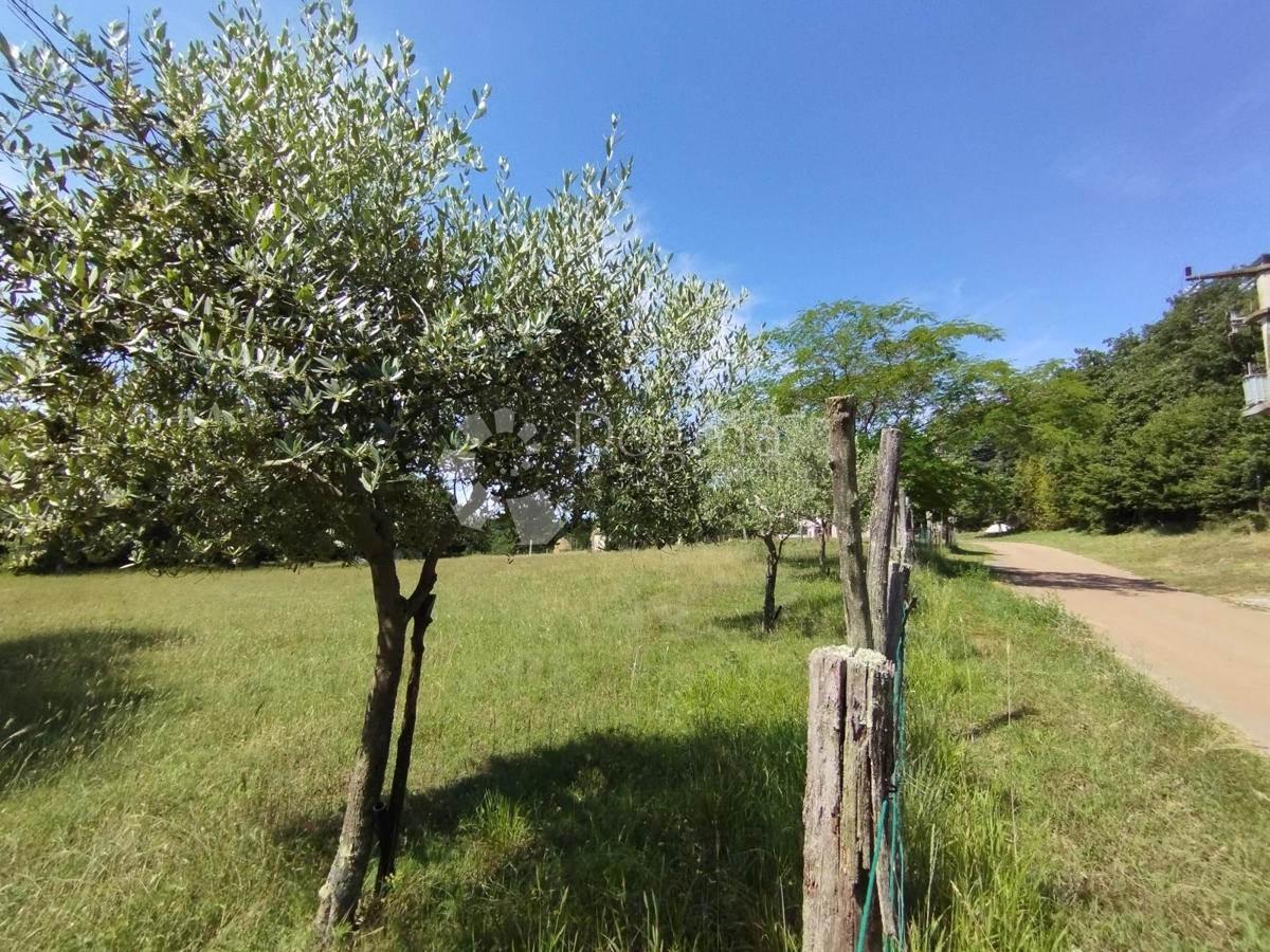 Hiša Balići II Dio, Barban, 76m2