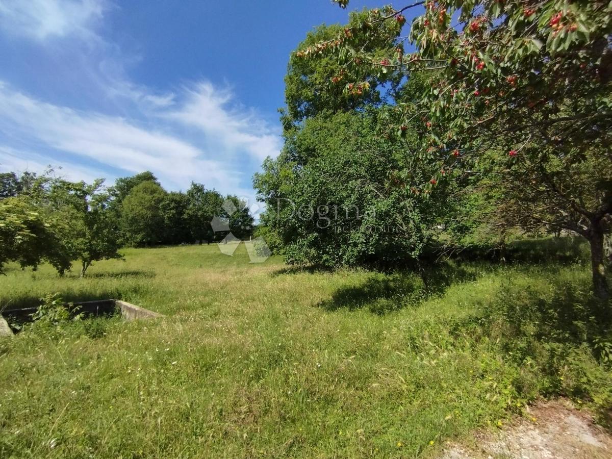 Hiša Balići II Dio, Barban, 76m2