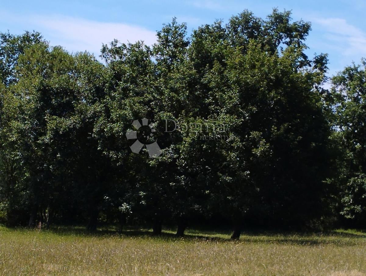 Hiša Balići II Dio, Barban, 76m2