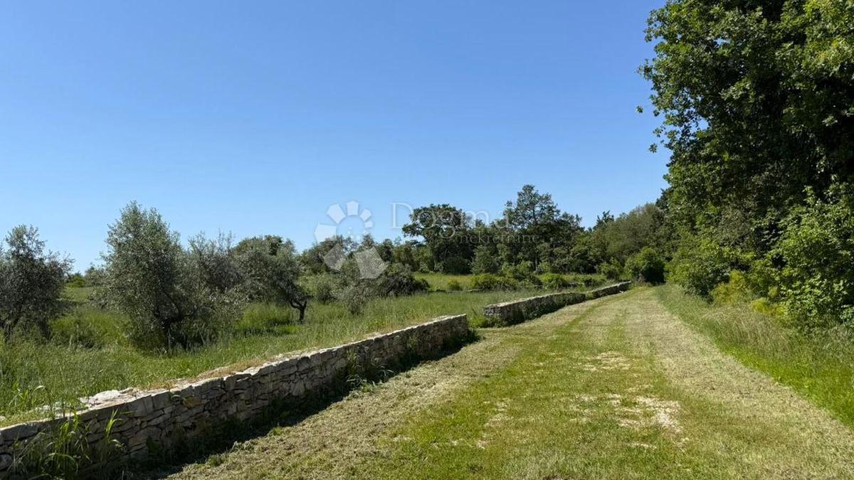 Kmetijsko zemljišče Umag, 10.292m2