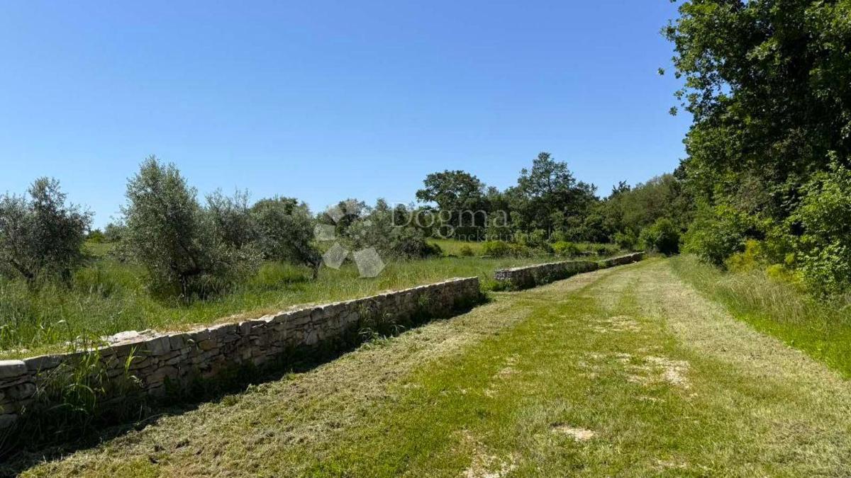 Kmetijsko zemljišče Umag, 10.292m2