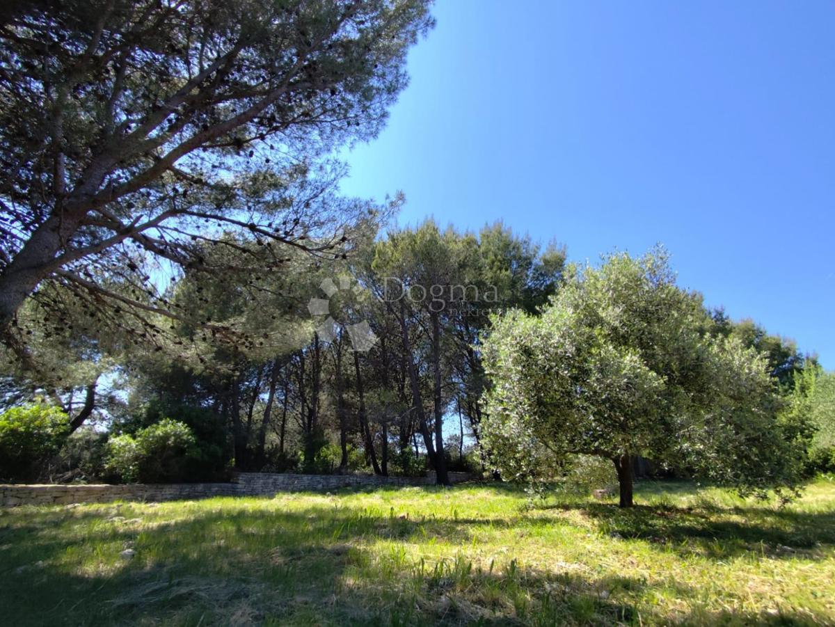 Kmetijsko zemljišče Pomer, Medulin, 1.480m2