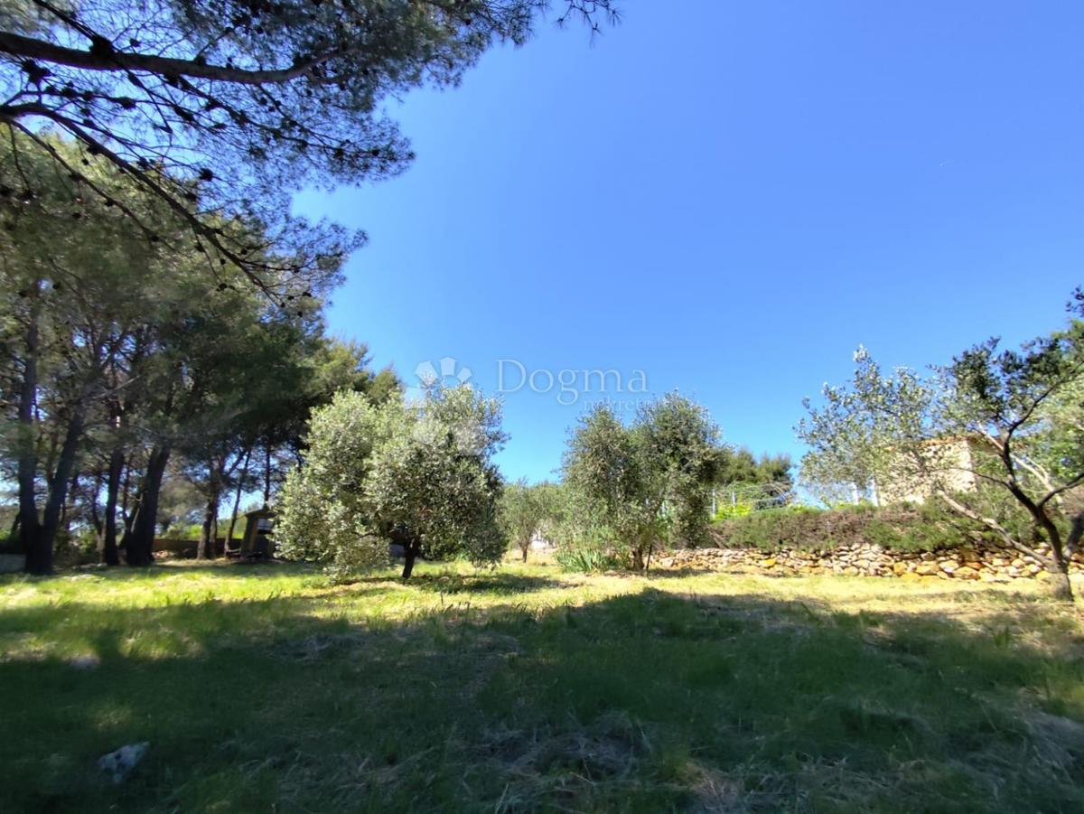 Kmetijsko zemljišče Pomer, Medulin, 1.480m2