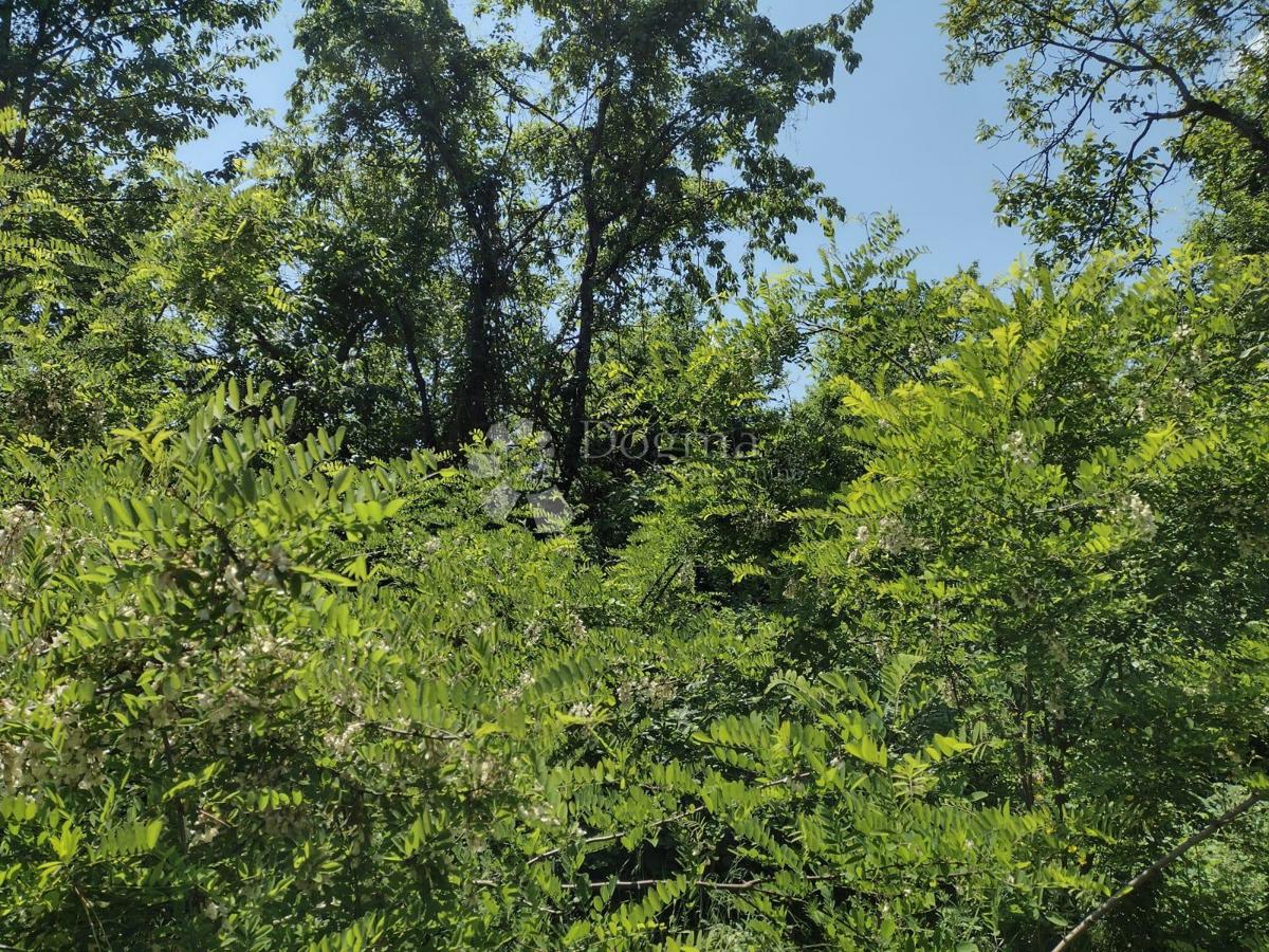 Zazidljivo zemljišče Stipan, Gvozd, 62.781m2