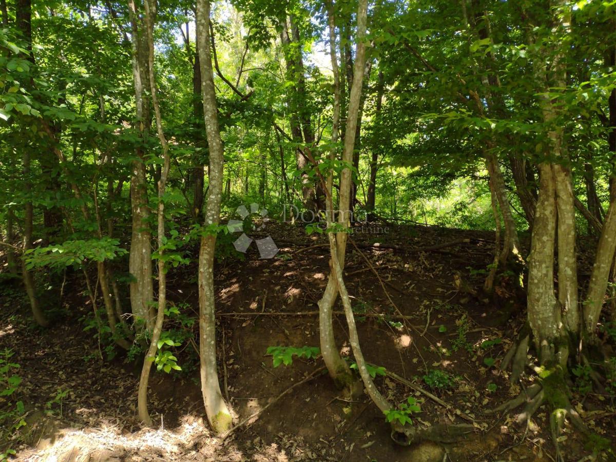 Zazidljivo zemljišče Stipan, Gvozd, 62.781m2