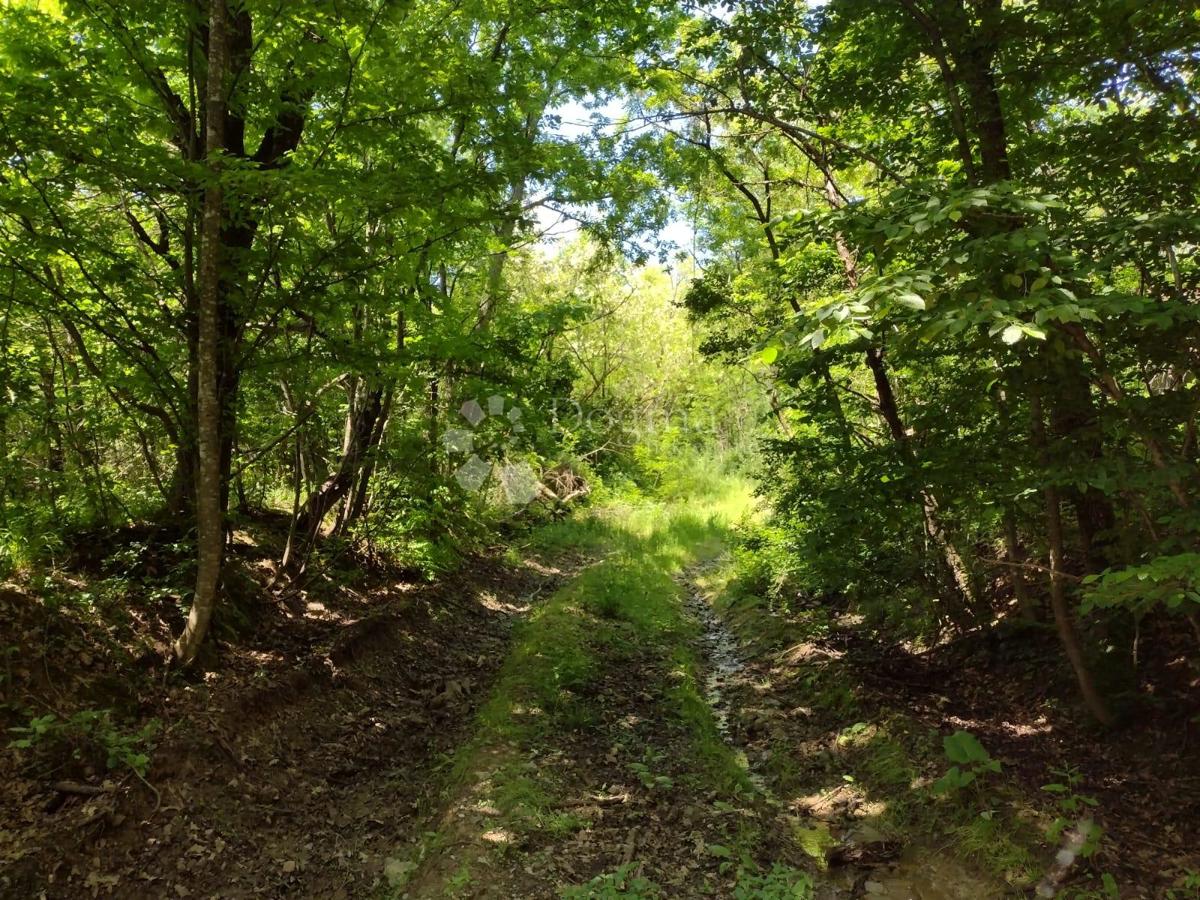 Zazidljivo zemljišče Stipan, Gvozd, 62.781m2
