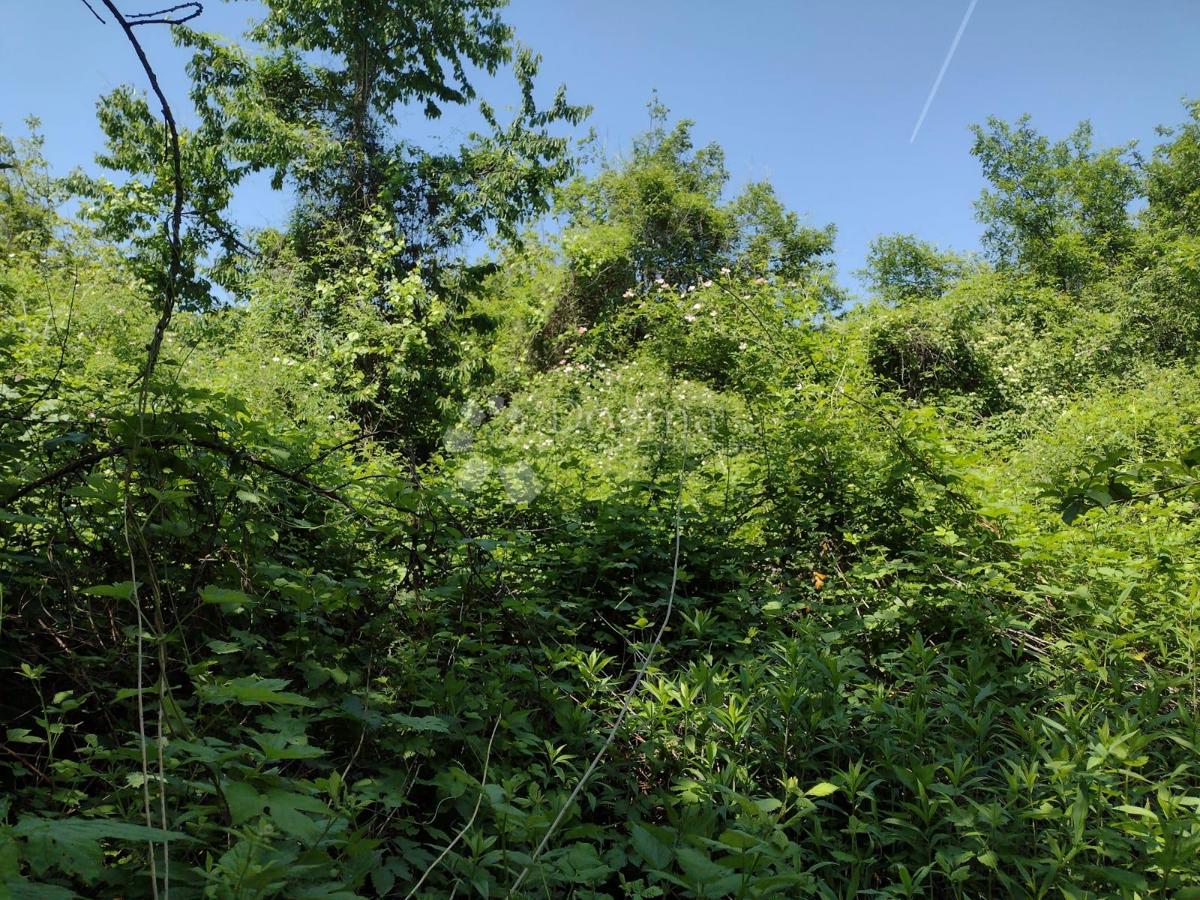 Zazidljivo zemljišče Stipan, Gvozd, 62.781m2