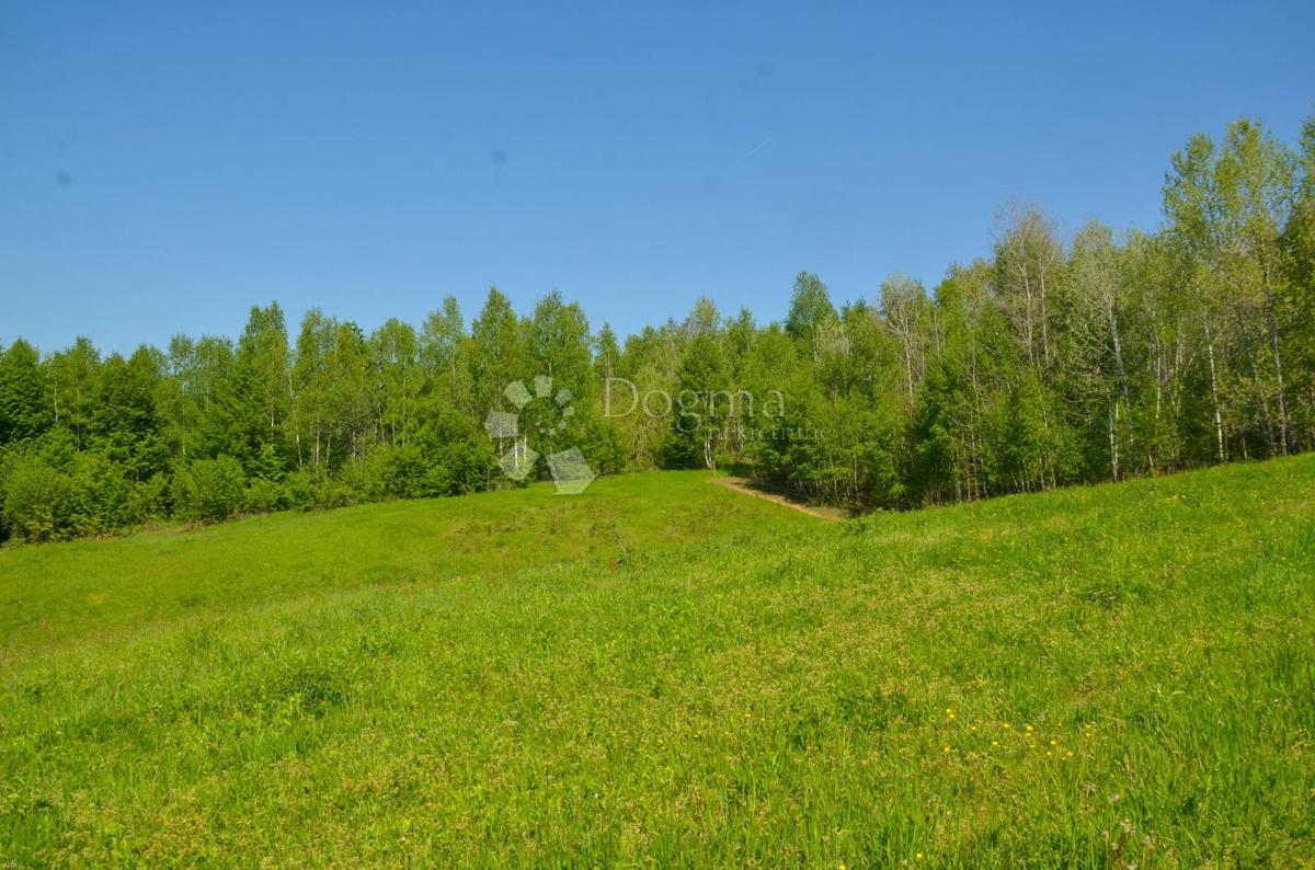 Hiša Blatuša, Gvozd, 180m2