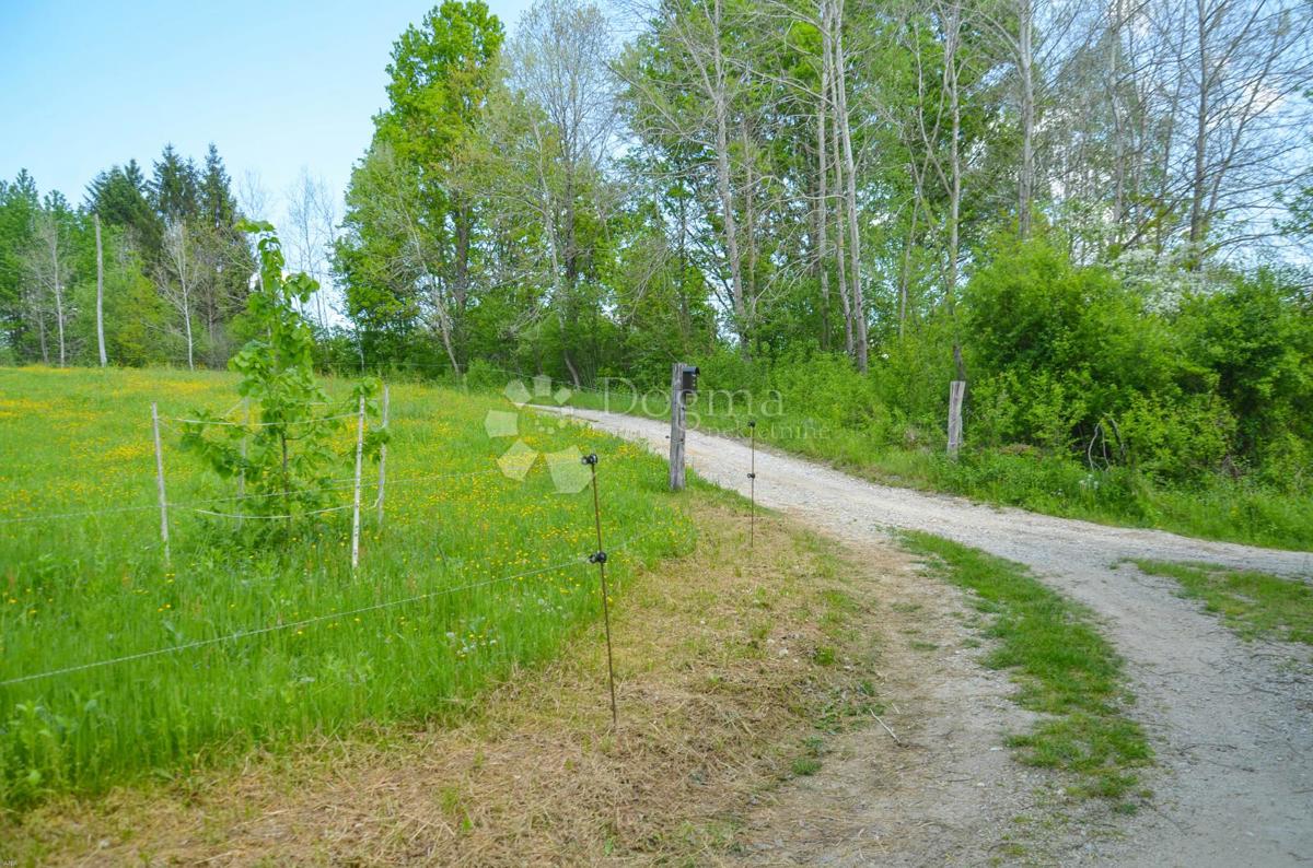 Hiša Blatuša, Gvozd, 180m2