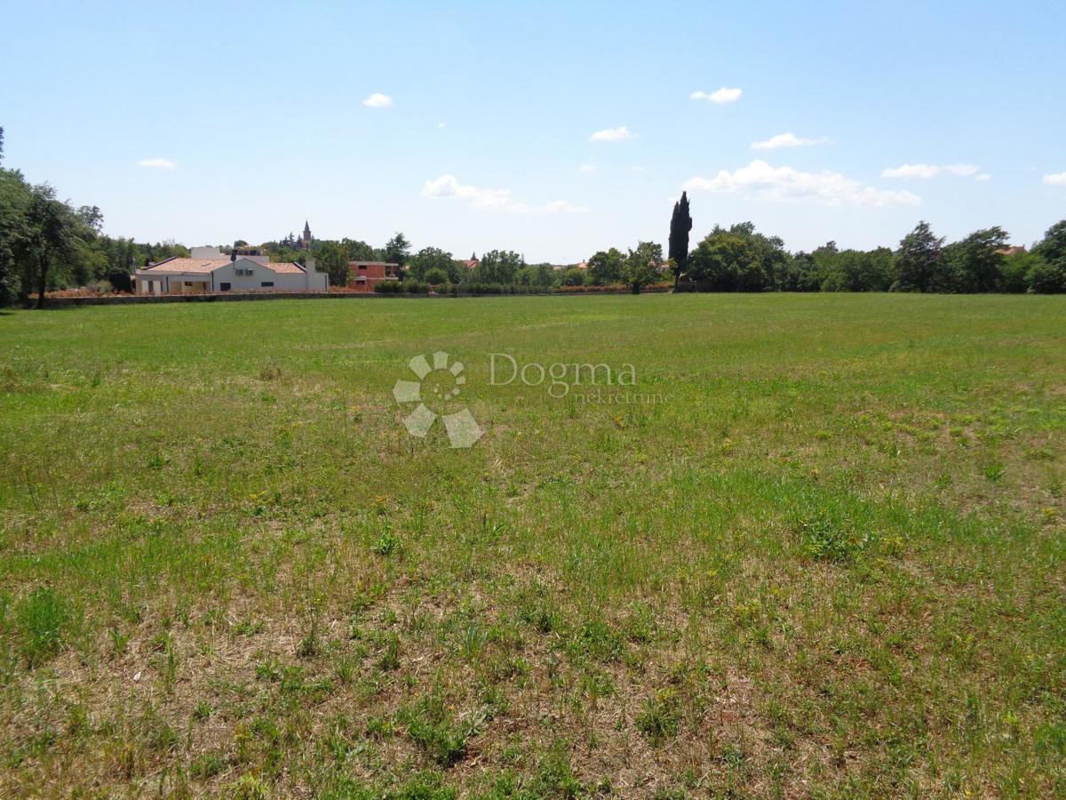 20.000 m2 POSESTVA Z VELIKO GRADBENIŠKO PARCELCO