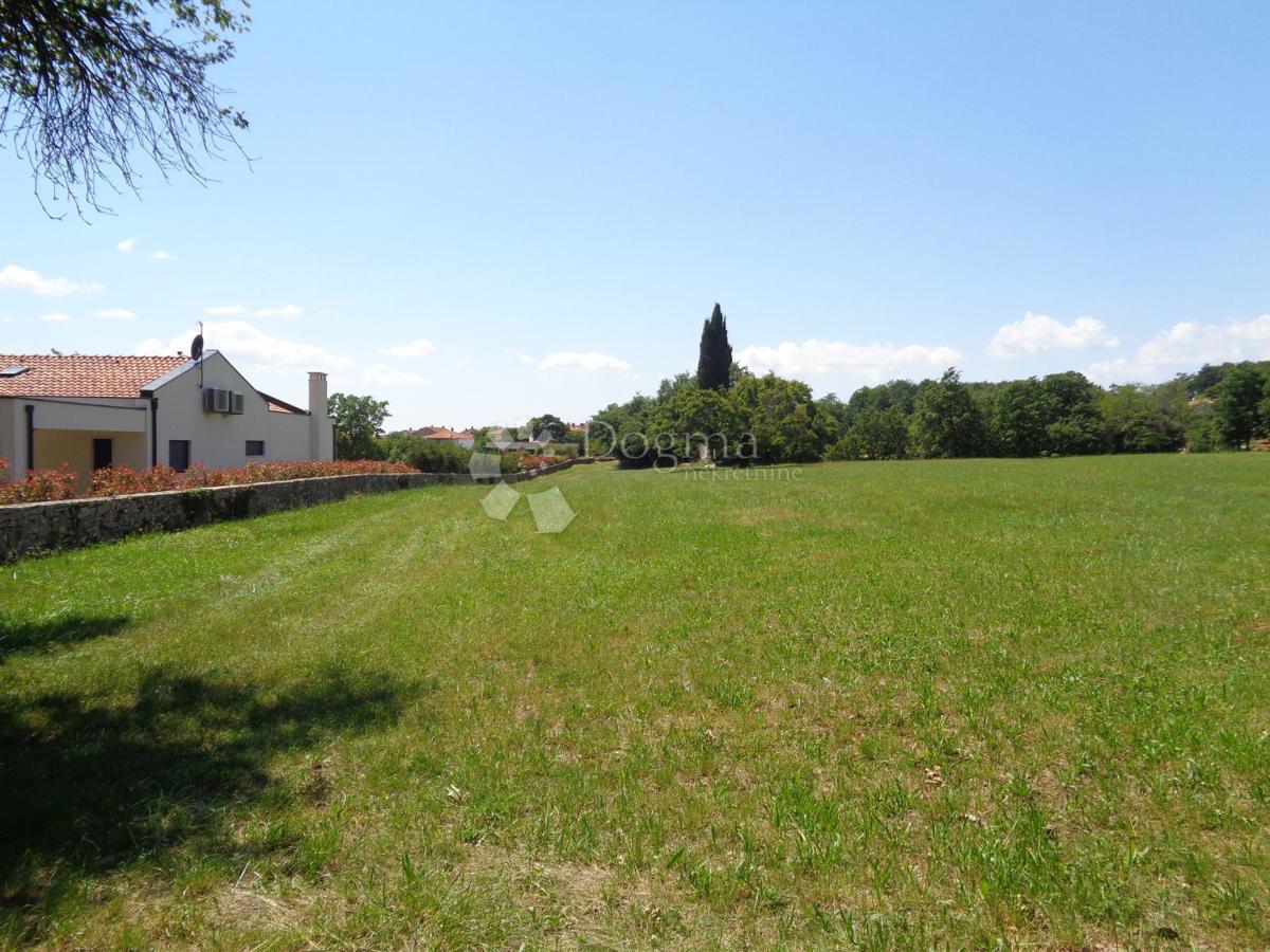 20.000 m2 POSESTVA Z VELIKO GRADBENIŠKO PARCELCO