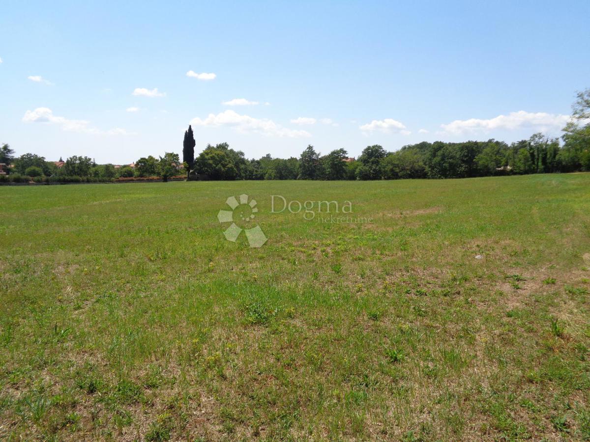 20.000 m2 POSESTVA Z VELIKO GRADBENIŠKO PARCELCO