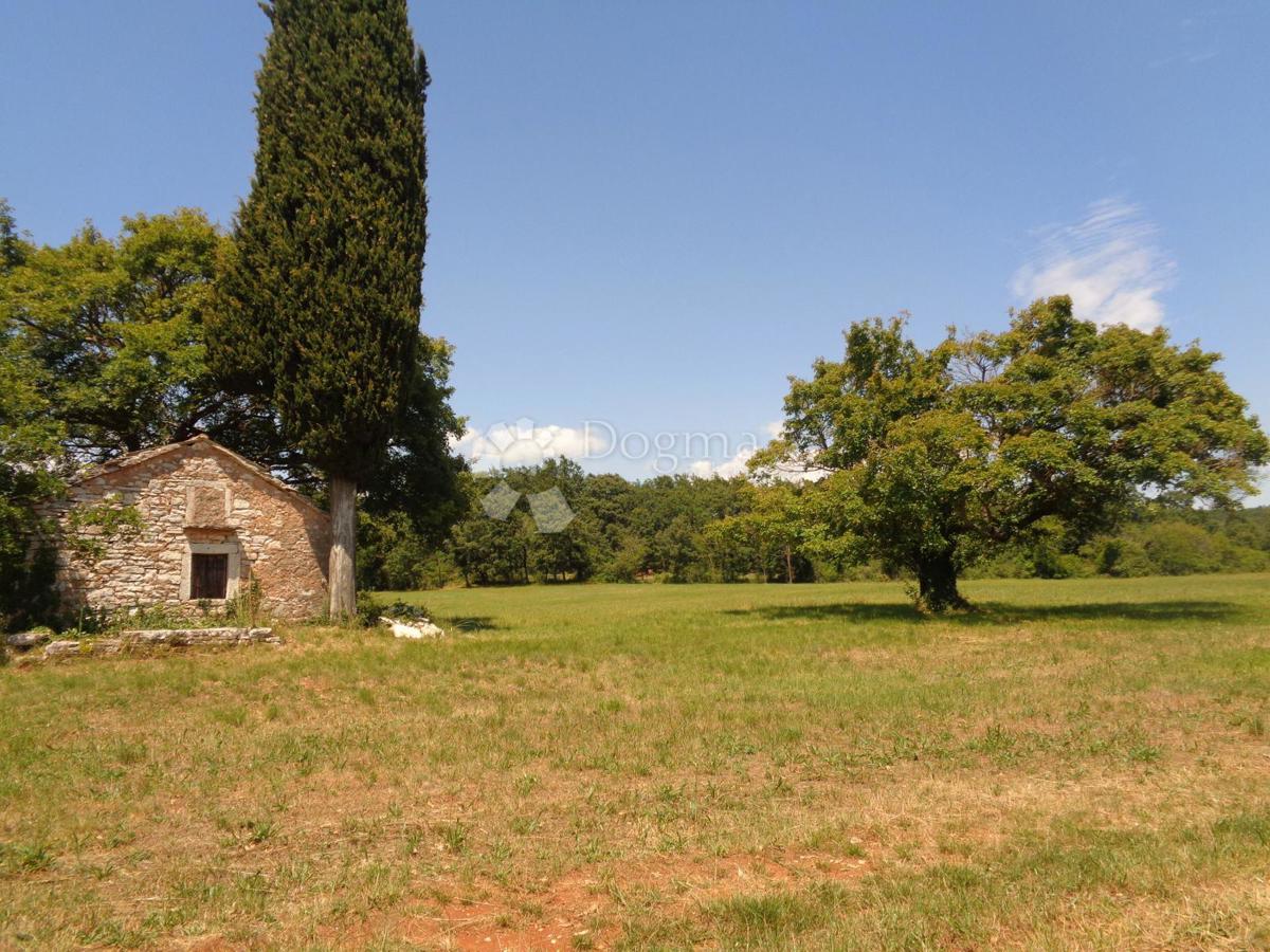 20.000 m2 POSESTVA Z VELIKO GRADBENIŠKO PARCELCO