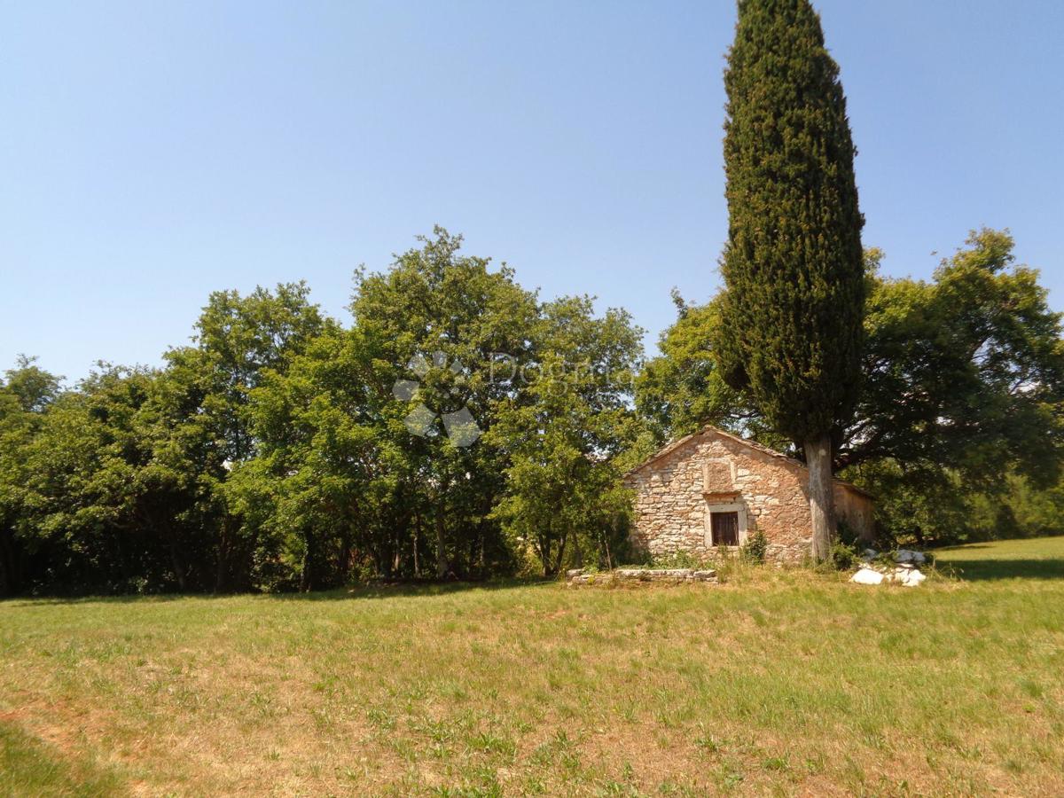 20.000 m2 POSESTVA Z VELIKO GRADBENIŠKO PARCELCO