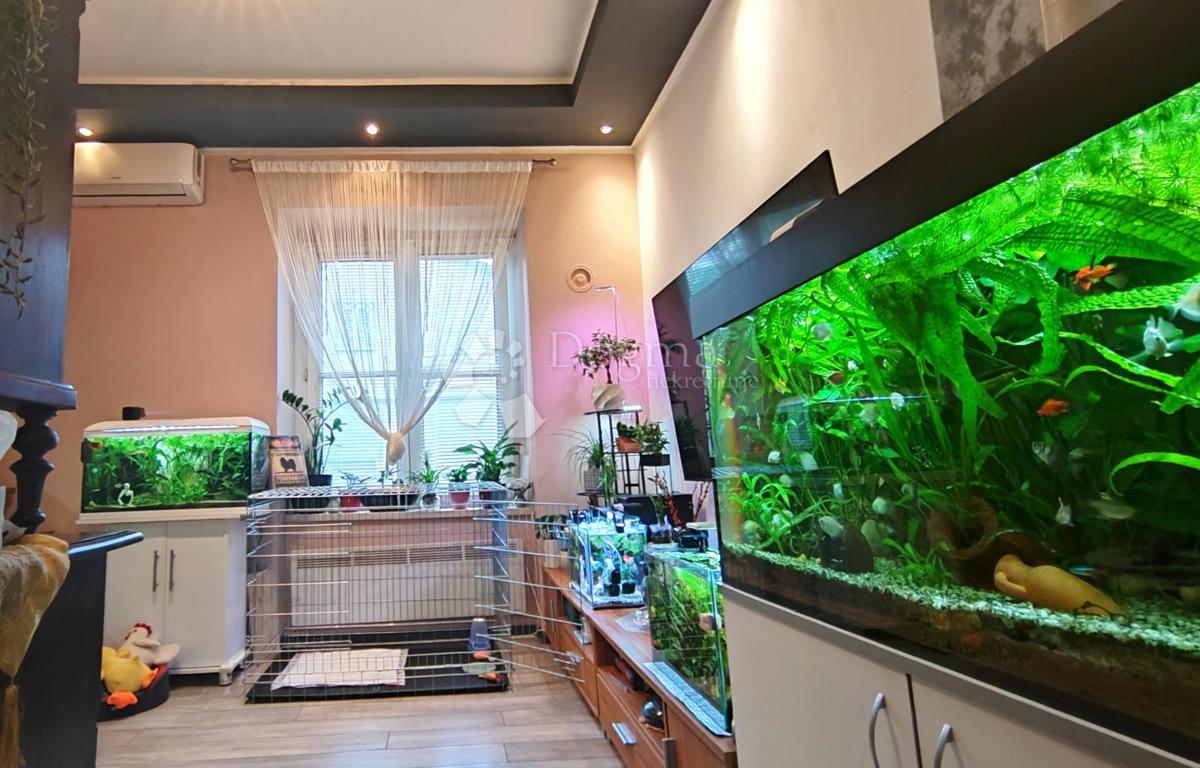 Stanovanje Maksimir, 33m2