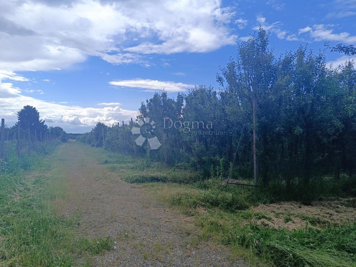 Kmetijsko zemljišče Petrijevci, 68.580m2