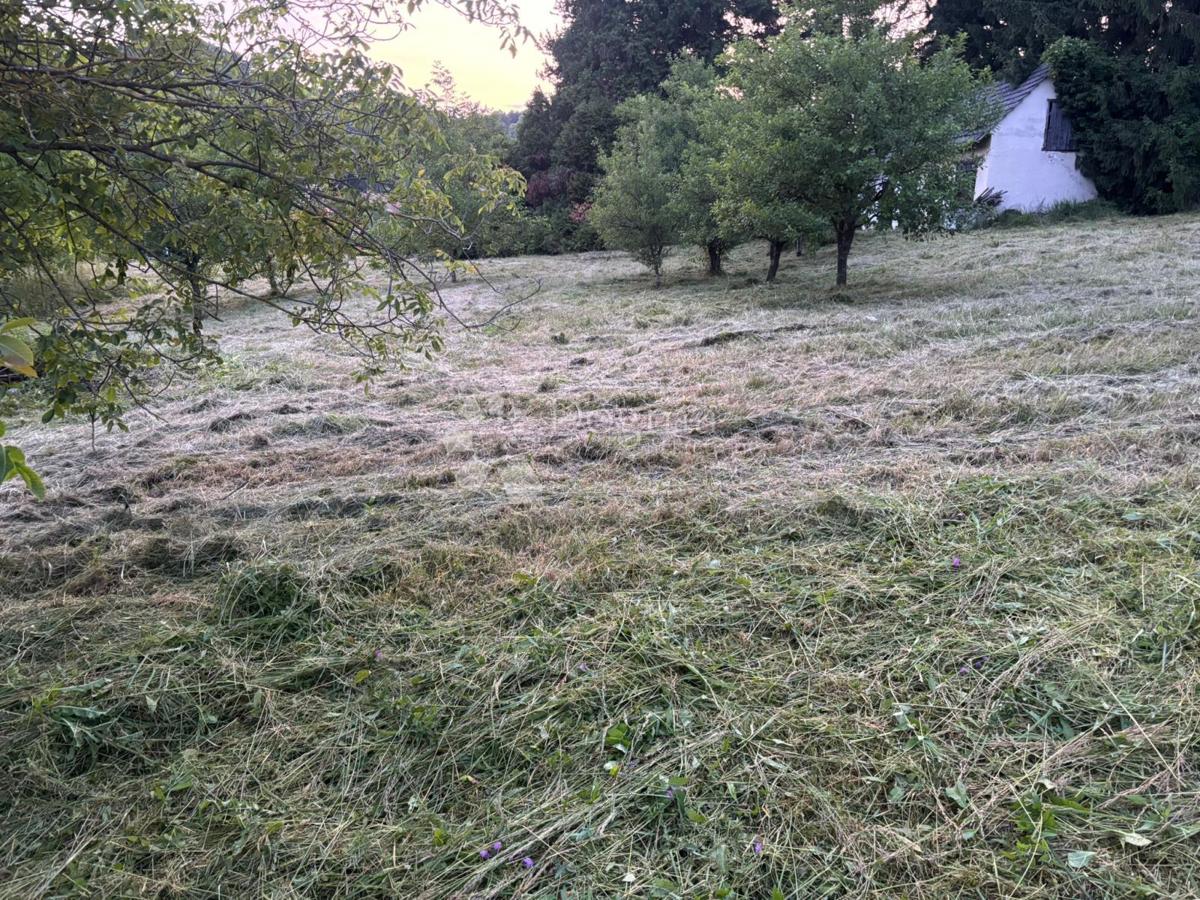 Kmetijsko zemljišče Srebrnjak, Sveta Nedelja, 12.972m2