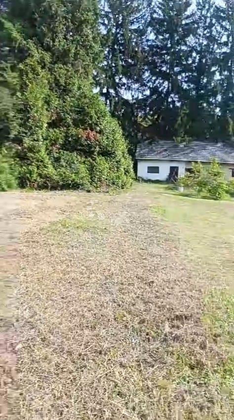Kmetijsko zemljišče Srebrnjak, Sveta Nedelja, 12.972m2
