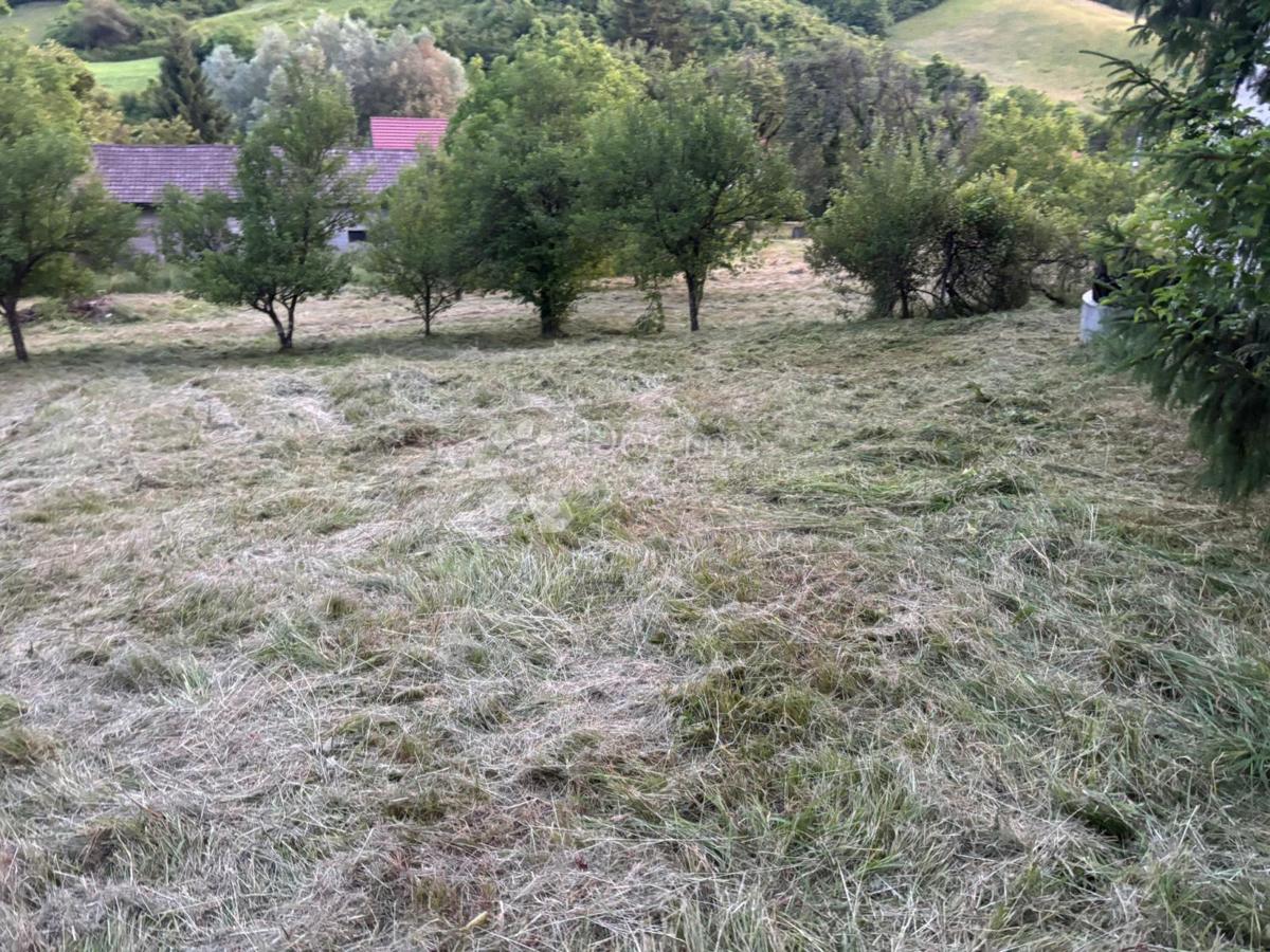 Kmetijsko zemljišče Srebrnjak, Sveta Nedelja, 12.972m2