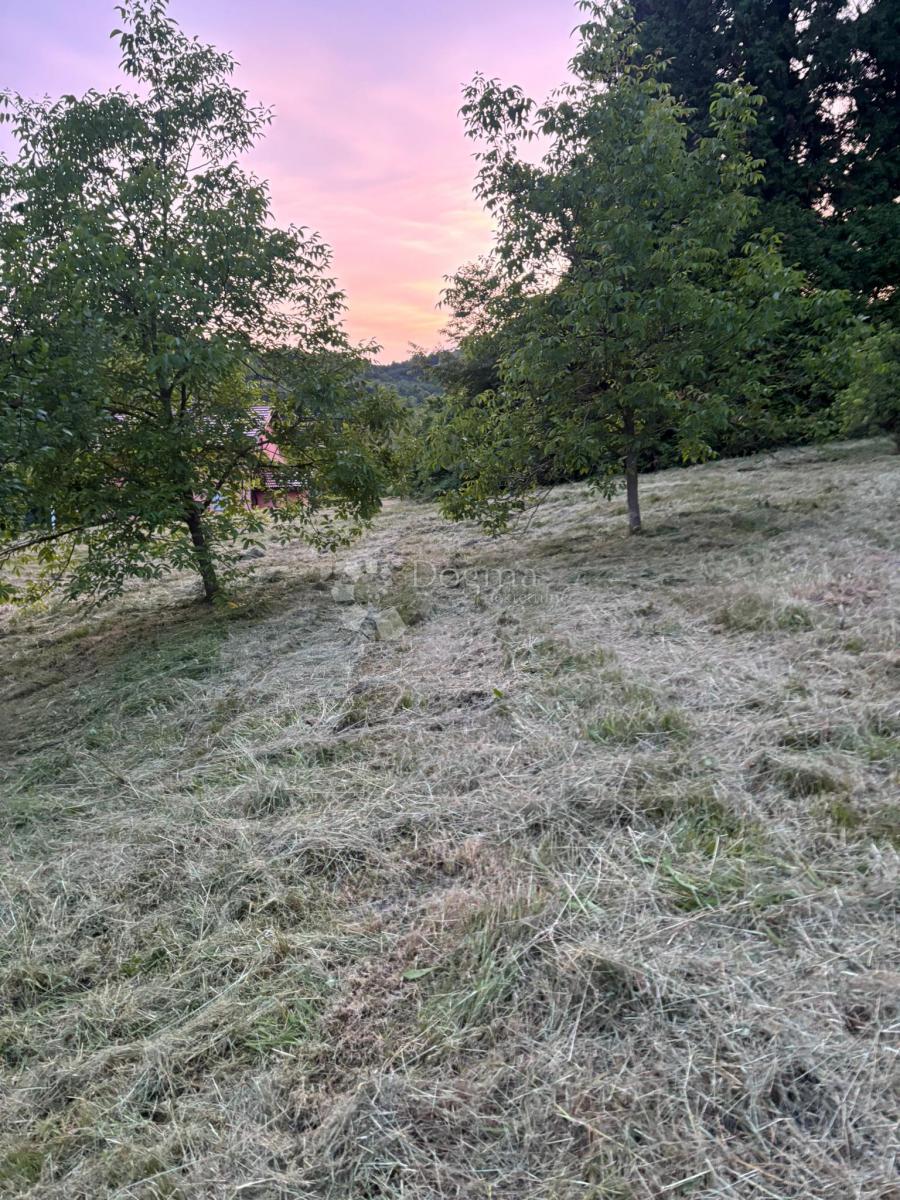 Kmetijsko zemljišče Srebrnjak, Sveta Nedelja, 12.972m2