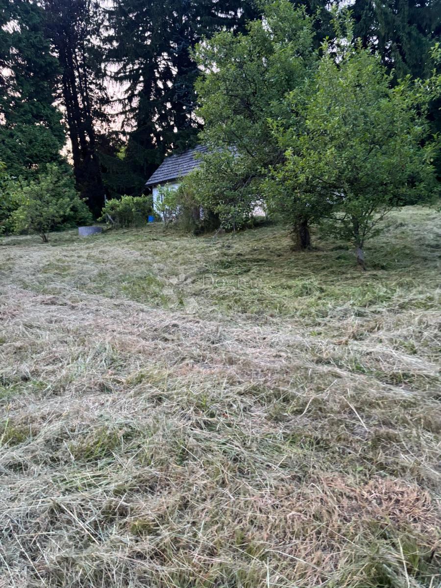 Kmetijsko zemljišče Srebrnjak, Sveta Nedelja, 12.972m2