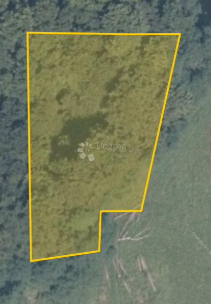 Kmetijsko zemljišče Banfi, Štrigova, 5.663m2