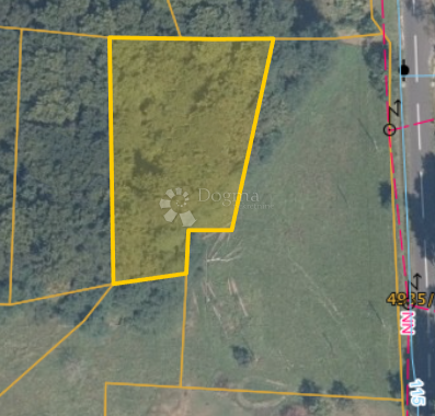 Kmetijsko zemljišče Banfi, Štrigova, 5.663m2