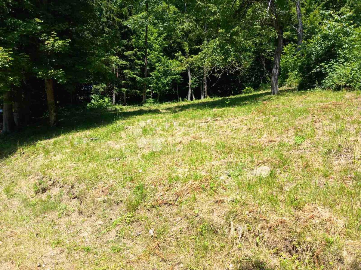 Kmetijsko zemljišče Kamensko, Vrbovsko, 11.653m2