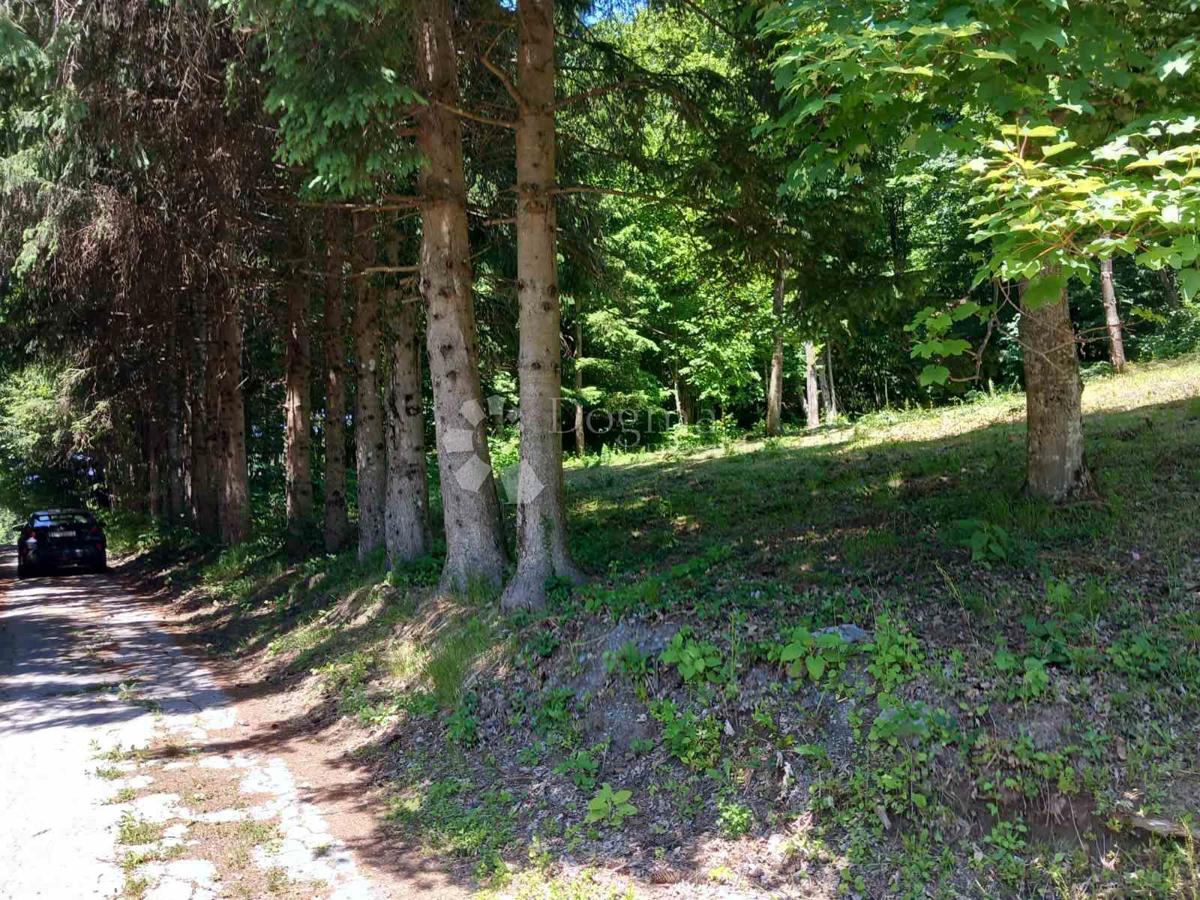 Kmetijsko zemljišče Kamensko, Vrbovsko, 11.653m2