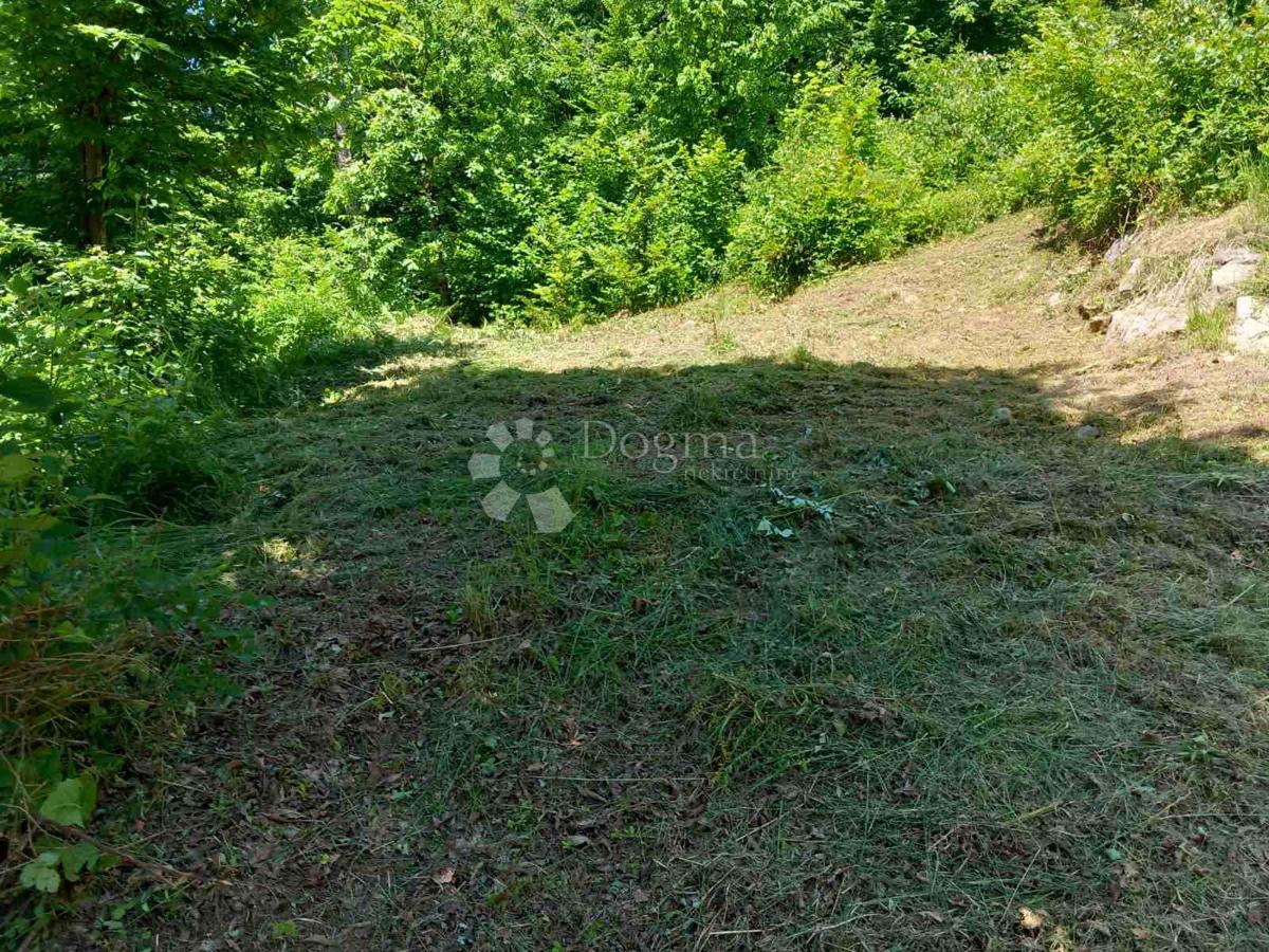 Kmetijsko zemljišče Kamensko, Vrbovsko, 11.653m2