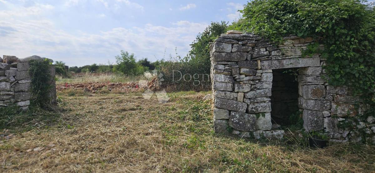 Zazidljivo zemljišče Vodnjan, 1.061m2