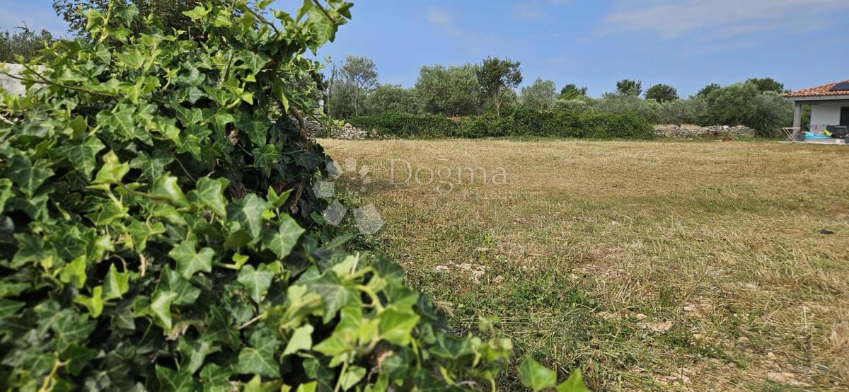 Zazidljivo zemljišče Vodnjan, 1.061m2